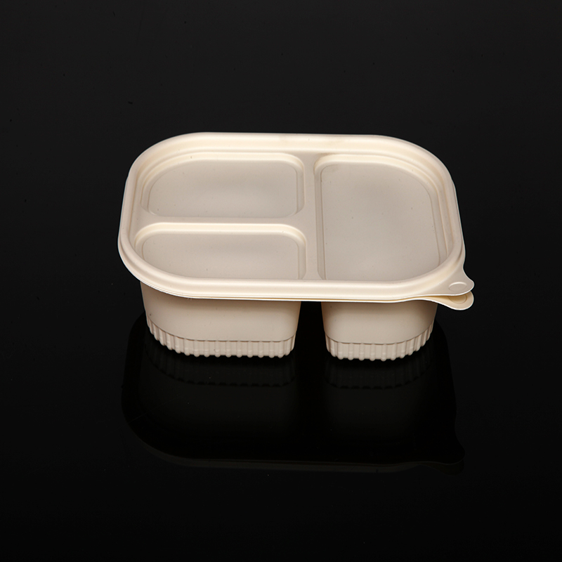 Biodegradabile scatola di pranzo
